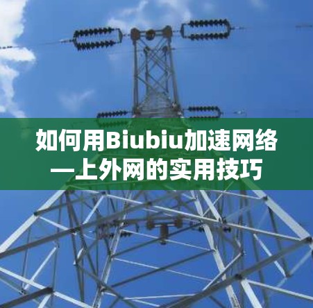 如何用Biubiu加速网络—上外网的实用技巧