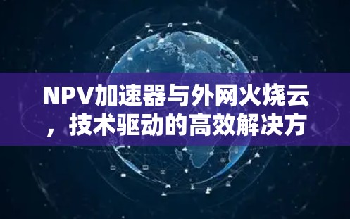 NPV加速器与外网火烧云，技术驱动的高效解决方案