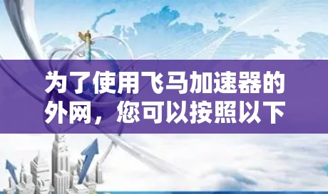 为了使用飞马加速器的外网，您可以按照以下步骤进行操作