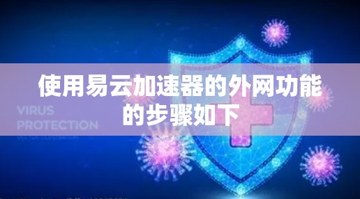 使用易云加速器的外网功能的步骤如下