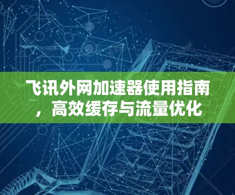 飞讯外网加速器使用指南，高效缓存与流量优化