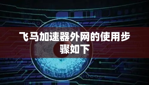 飞马加速器外网的使用步骤如下