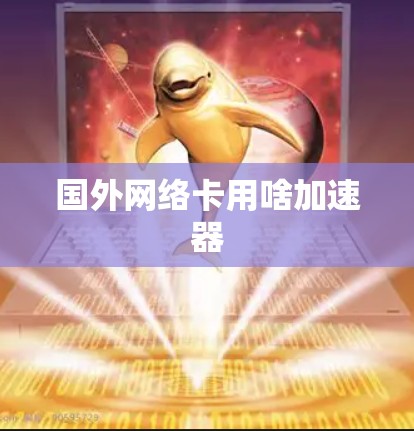 国外网络卡用啥加速器