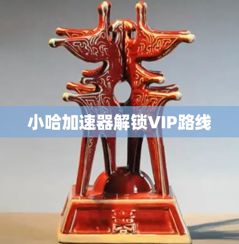 小哈加速器解锁VIP路线