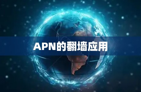 APN的翻墙应用