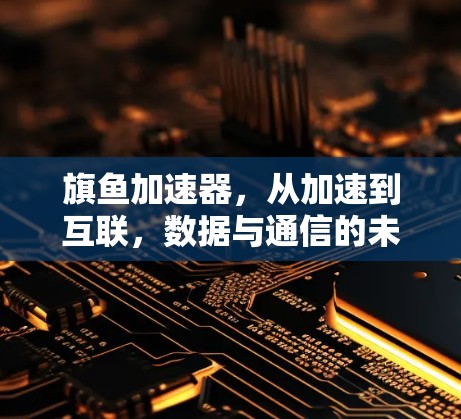 旗鱼加速器，从加速到互联，数据与通信的未来之选