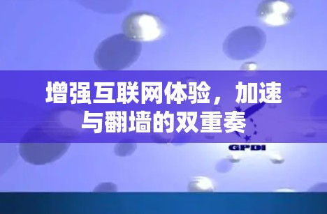 增强互联网体验，加速与翻墙的双重奏