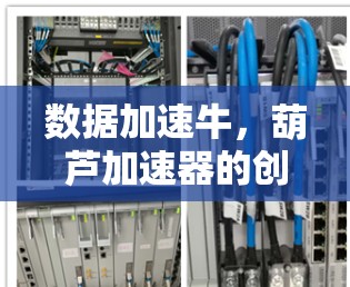 数据加速牛，葫芦加速器的创新突破