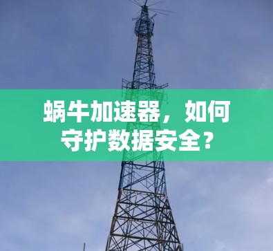 蜗牛加速器，如何守护数据安全？