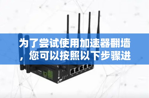 为了尝试使用加速器翻墙，您可以按照以下步骤进行操作