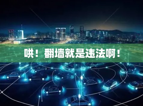 哄！翻墙就是违法啊！