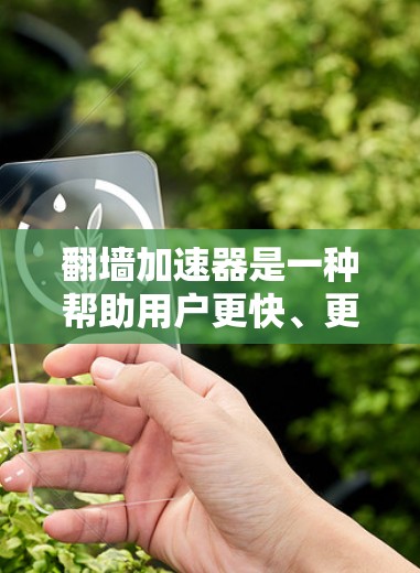 翻墙加速器是一种帮助用户更快、更安全地访问互联网的工具。以下是几种常见的翻墙加速器，并提供详细描述