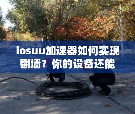 iosuu加速器如何实现翻墙？你的设备还能正常使用吗？