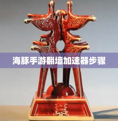 海豚手游翻墙加速器步骤