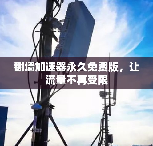 翻墙加速器永久免费版，让流量不再受限