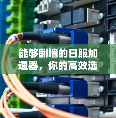 能够翻墙的日服加速器，你的高效选择