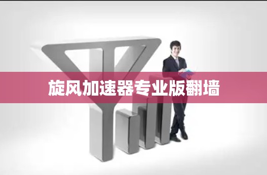旋风加速器专业版翻墙