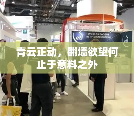 青云正动，翻墙欲望何止于意料之外