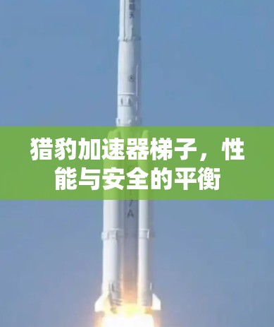猎豹加速器梯子，性能与安全的平衡