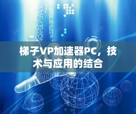 梯子VP加速器PC，技术与应用的结合