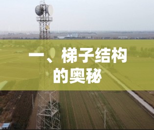 一、梯子结构的奥秘