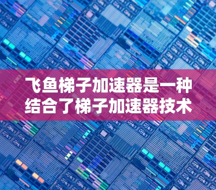 飞鱼梯子加速器是一种结合了梯子加速器技术和飞鱼特性设计的工具，主要由以下几个方面组成