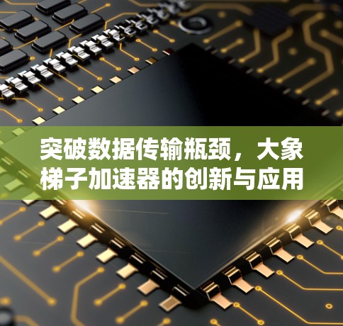突破数据传输瓶颈，大象梯子加速器的创新与应用