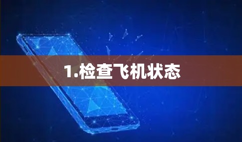 1.检查飞机状态