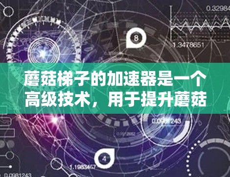 蘑菇梯子的加速器是一个高级技术，用于提升蘑菇梯子的代码生成效率和性能。以下是关于蘑菇梯子加速器的详细说明