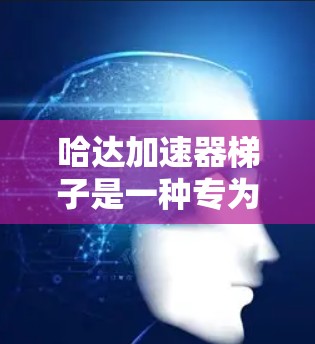 哈达加速器梯子是一种专为加速医疗设备而设计的工具，主要用于提升医疗设备的运行效率和舒适度。以下是对其工作的详细解释