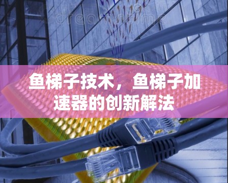 鱼梯子技术，鱼梯子加速器的创新解法