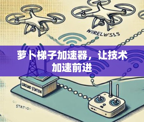 萝卜梯子加速器，让技术加速前进
