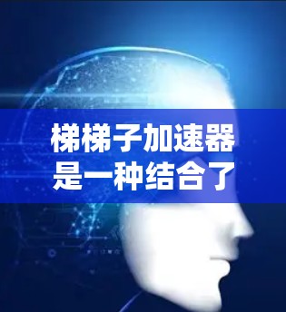 梯梯子加速器是一种结合了梯度下降和梯子方法的技术，结合深度学习和反向传播的优化工具，用于提高游戏性能和质量。以下是详细的解释
