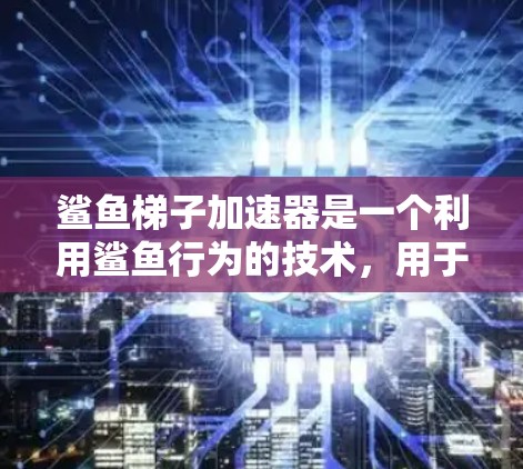 鲨鱼梯子加速器是一个利用鲨鱼行为的技术，用于在潜水或水中环境中提升速度或加速运动。以下是对其详细解释的要点