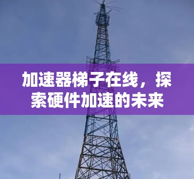 加速器梯子在线，探索硬件加速的未来