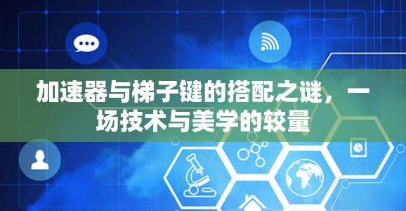 加速器与梯子键的搭配之谜，一场技术与美学的较量