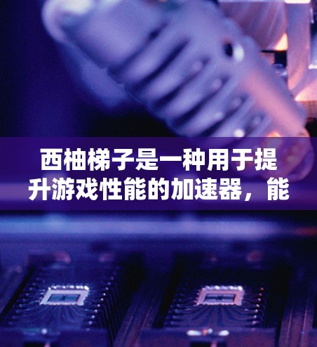 西柚梯子是一种用于提升游戏性能的加速器，能够在游戏中提升移动速度和操作流畅度。为了更好地理解西柚梯子的加速器功能，以下是一些常用加速器推荐和使用方法