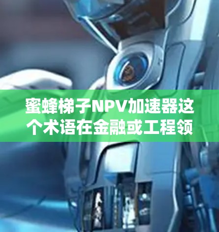 蜜蜂梯子NPV加速器这个术语在金融或工程领域中可能指的是结合蜜蜂梯子（可能指蜜蜂作为模型或系统）与净现值（NPV）分析的加速技术或方法。以下是一些可能的解释和应用方向
