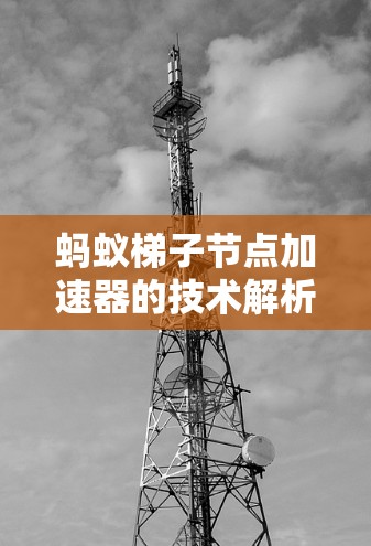 蚂蚁梯子节点加速器的技术解析