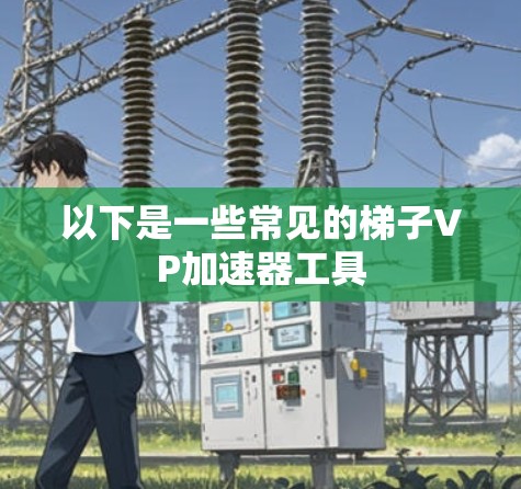 以下是一些常见的梯子VP加速器工具