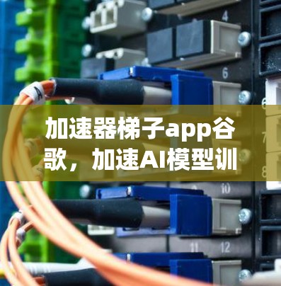 加速器梯子app谷歌，加速AI模型训练的高效工具