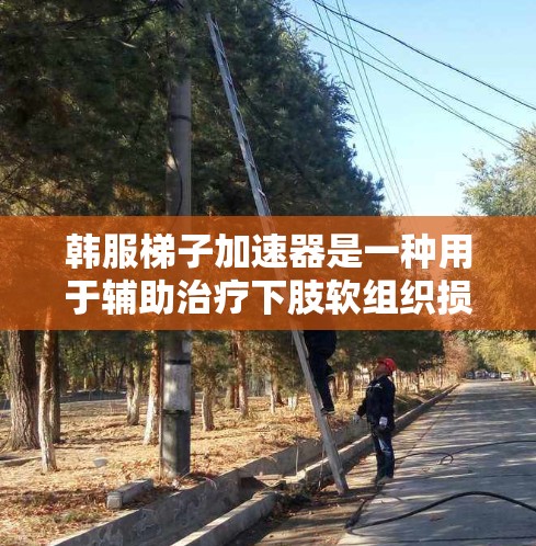 韩服梯子加速器是一种用于辅助治疗下肢软组织损伤的医疗设备，通常包括动作板和梯子等，帮助患者进行高频率的重复动作，如下肢拉伸、核心训练等。以下是关于韩服梯子加速器的详细介绍