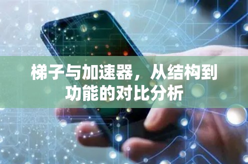 梯子与加速器，从结构到功能的对比分析