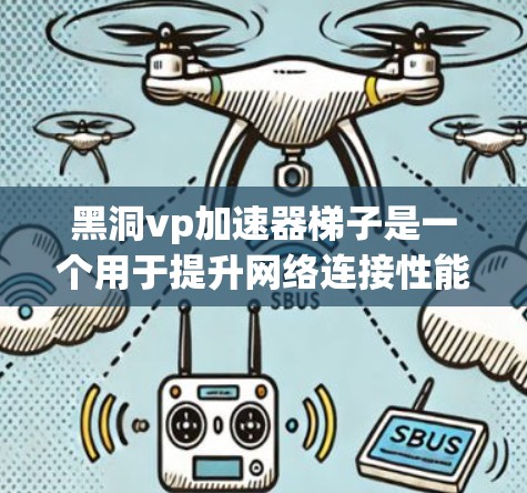 黑洞vp加速器梯子是一个用于提升网络连接性能的特定技术或设备，具体含义可能需要进一步确认。以下是关于该技术的详细分析
