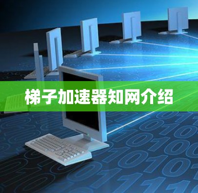 梯子加速器知网介绍