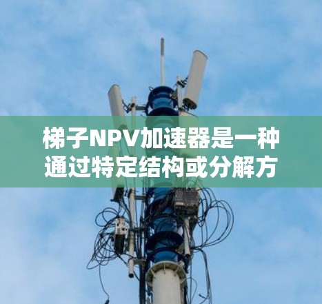 梯子NPV加速器是一种通过特定结构或分解方法来简化NPV计算的工具，旨在提高NPV分析的效率和准确性。以下是对这一概念的详细解释