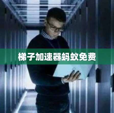 梯子加速器蚂蚁免费