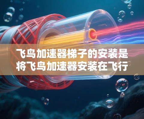 飞鸟加速器梯子的安装是将飞鸟加速器安装在飞行器或飞行器上的重要步骤。以下是对这一过程的详细分析和步骤