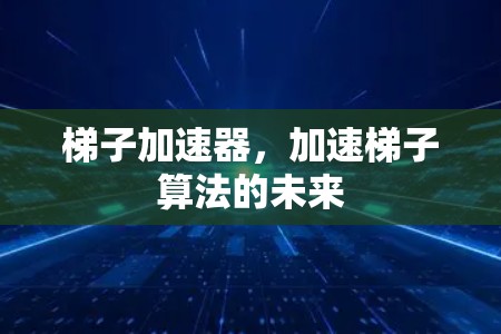 梯子加速器，加速梯子算法的未来