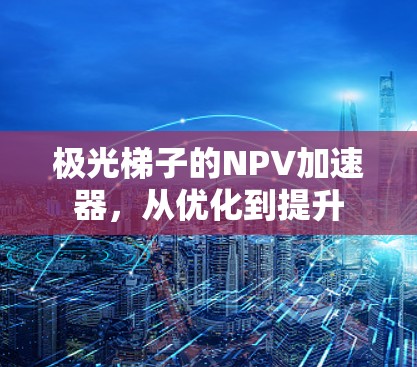 极光梯子的NPV加速器，从优化到提升